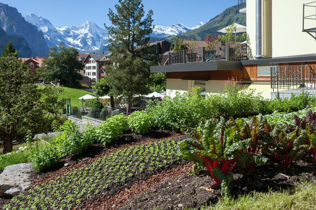 Hotel Schoenegg Wengen Exterior foto